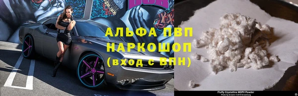 дмт Белокуриха
