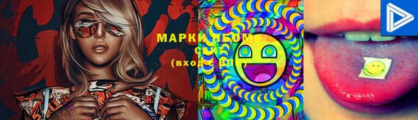 дмт Белокуриха