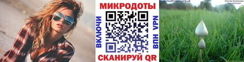 Галлюциногенные грибы мухоморы где можно купить Губкинский